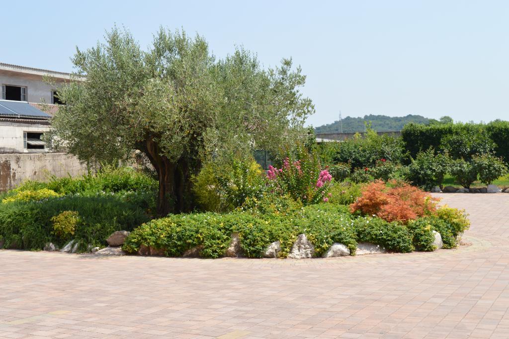 Agriturismo Ca' Del Gal Валеджо-суль-Минчо Экстерьер фото