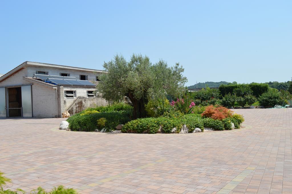 Agriturismo Ca' Del Gal Валеджо-суль-Минчо Экстерьер фото