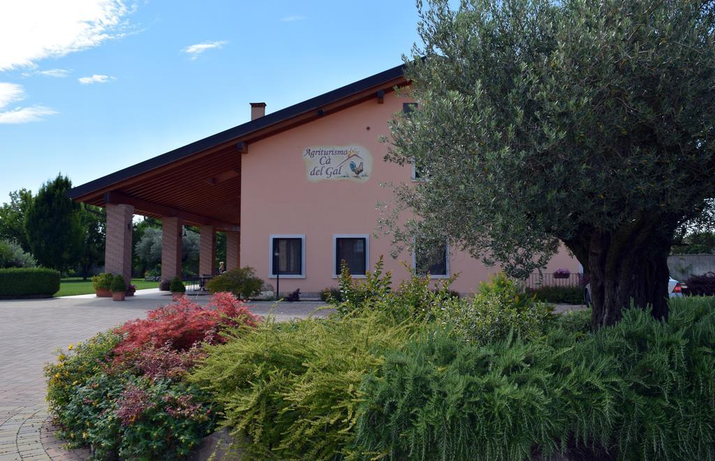 Agriturismo Ca' Del Gal Валеджо-суль-Минчо Экстерьер фото